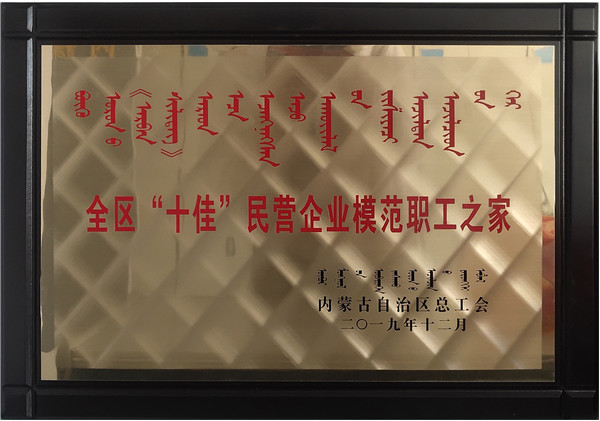 全区“十佳”民营企业圭表职工之家