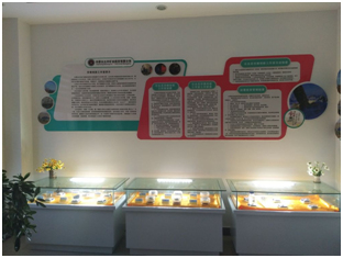 佰利乐(中国区)有限公司官网