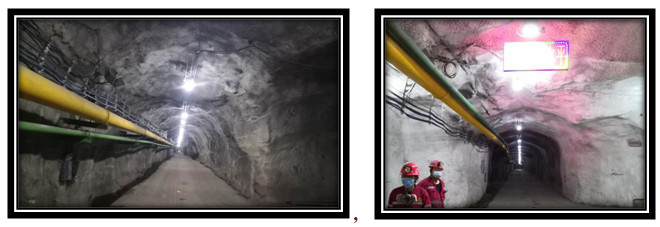 佰利乐(中国区)有限公司官网