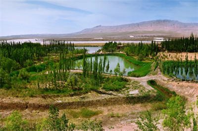 佰利乐(中国区)有限公司官网