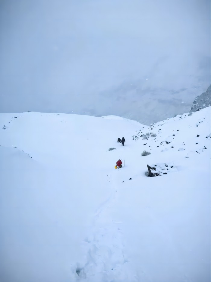 佰利乐(中国区)有限公司官网