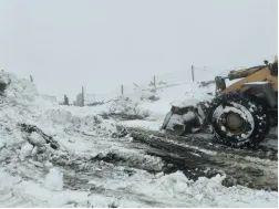 佰利乐(中国区)有限公司官网