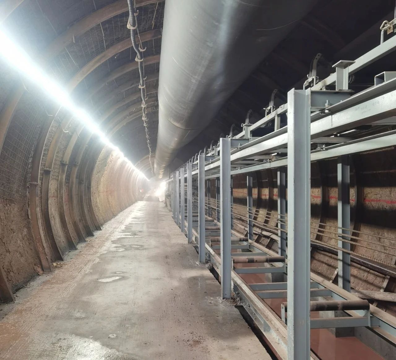 佰利乐(中国区)有限公司官网